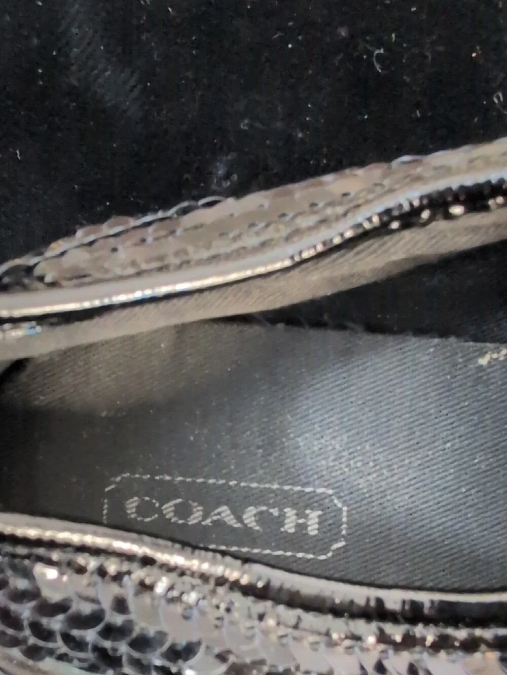 Coach Black & Cream Signature Canvas Lace-Up Sneakers